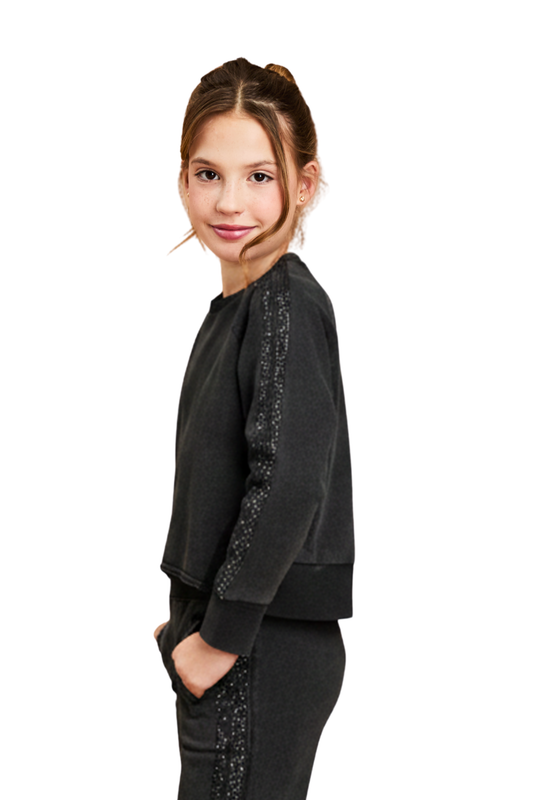 Rhinestone Double Stripe Pull Over Sweater