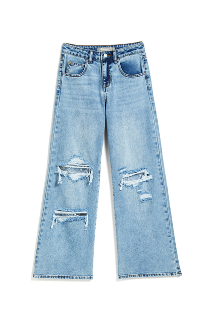 Sequin Net Distressed Pant